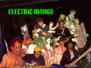 electricmangocover.jpg